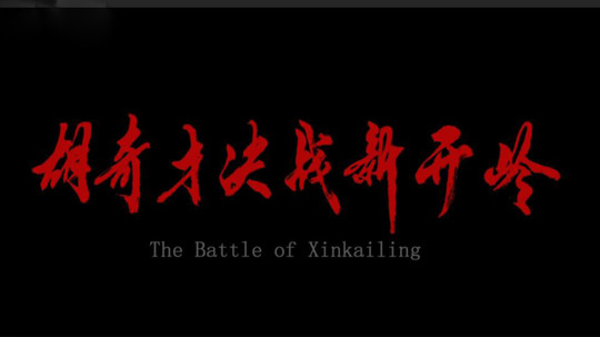 胡奇才决战新开岭