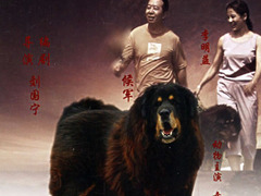 藏獒情未了 侯军