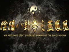 八卦拳之蓝凤凰