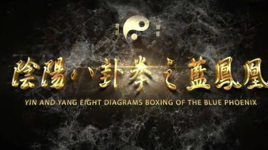 八卦拳之蓝凤凰