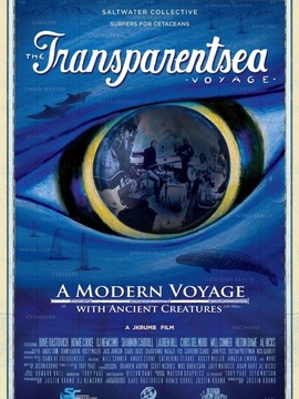 透明海洋之旅：为蓝鲸发声