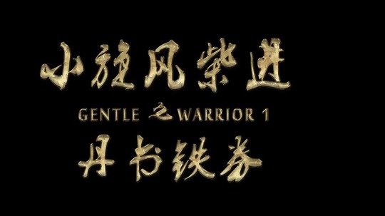 小旋风柴进之丹书铁券