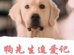 狗先生追爱记