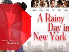 纽约的一个雨天 艾丽·范宁
