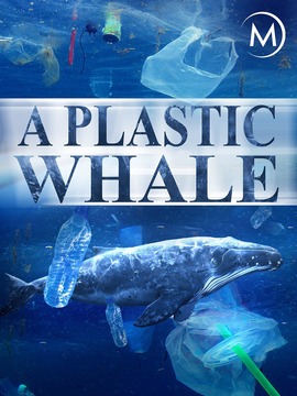 塑料鲸鱼