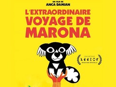 马茹娜的非凡旅程