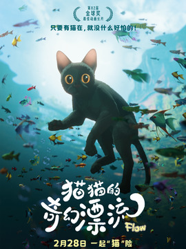 猫猫的奇幻漂流