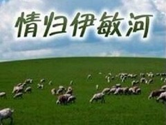 情歸伊敏河 陳姍姍