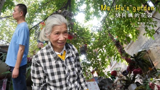 胡阿姨的花园