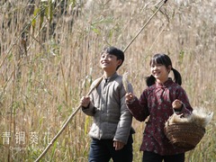 青铜葵花 柳明明