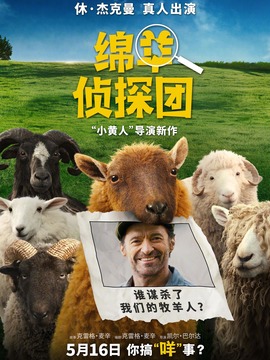 绵羊侦探团