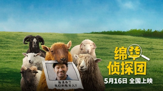 绵羊侦探团