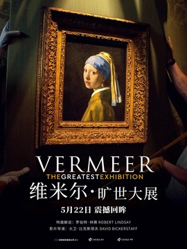 维米尔&middot;旷世大展