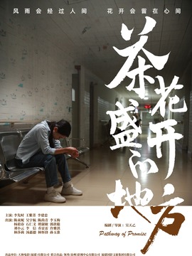 茶花盛开的地方