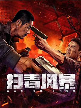 扫毒风暴