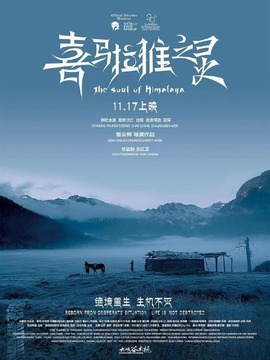 喜马拉雅之灵