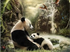 熊猫奇遇记 王凯