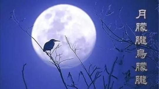 月朦胧鸟朦胧