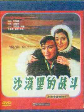 沙漠里的战斗