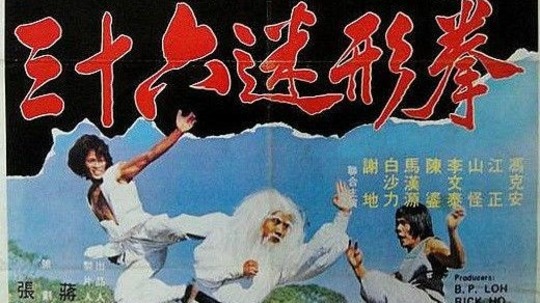 三十六迷形拳