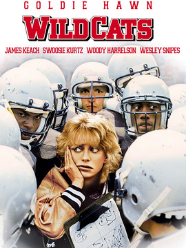 小野猫吃大老虎