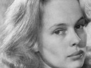 桑迪&middot;丹尼斯图片