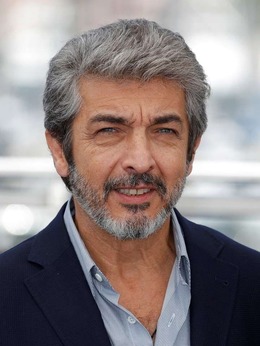 里卡杜&middot;达林