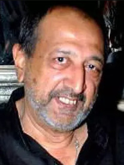 缇努&middot;阿南德图片