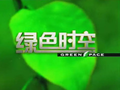 绿色时空