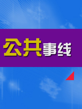 公共事线