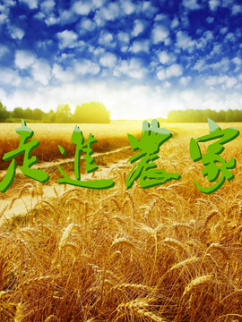 走进农家
