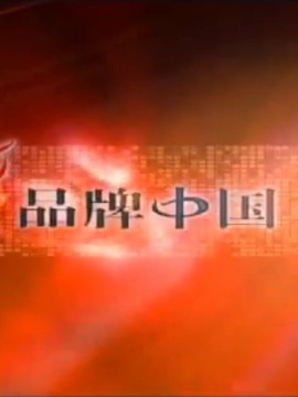 品牌中国