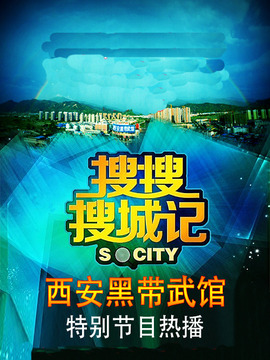 搜城记