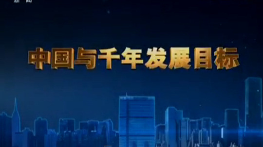 中国与千年发展目标