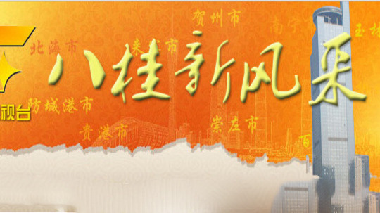 八桂新风采