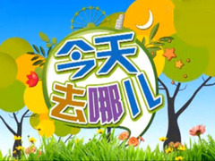 今天去哪儿