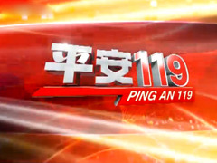 平安119