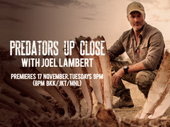 Predators Up Close With Joel Lambert
