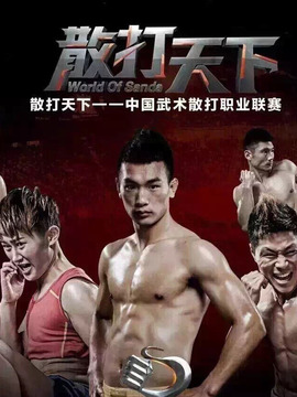 散打天下