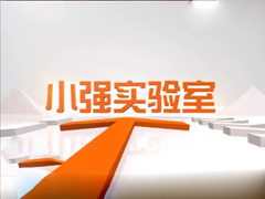 小强实验室