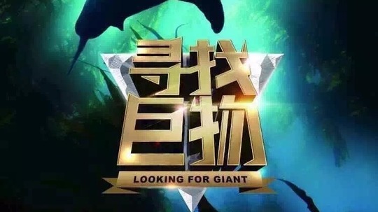 寻找巨物