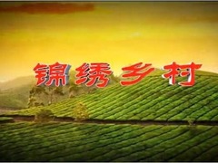 锦绣乡村
