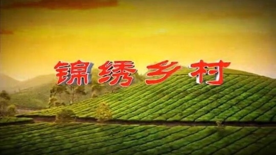锦绣乡村