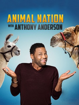 安东尼动物秀