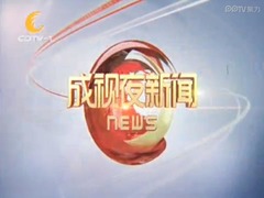 城視夜新聞