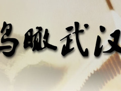 鸟瞰武汉