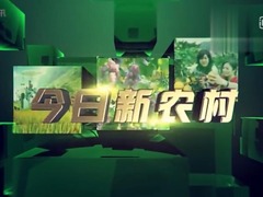今日新農村