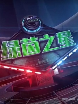 绿茵之星