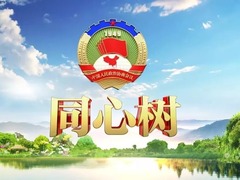 同心树