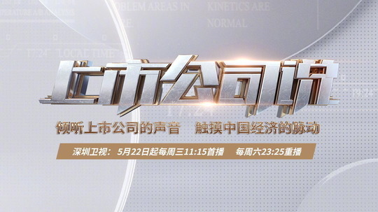 上市公司说